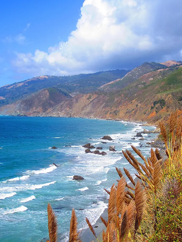 Photo: Roger Sylvia / CC BY-SA 3.0, via Wikimedia Commons Los Padres Nat Forest & & Big Sur California & & Kirk Creek US Forest Service Campground