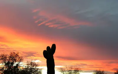Sunset - panoramio - beglib, near Tanque Verde