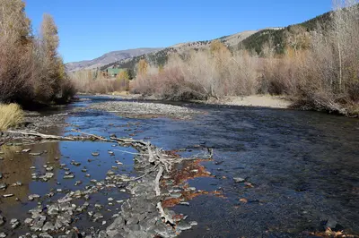 Lake Fork Gunnison River