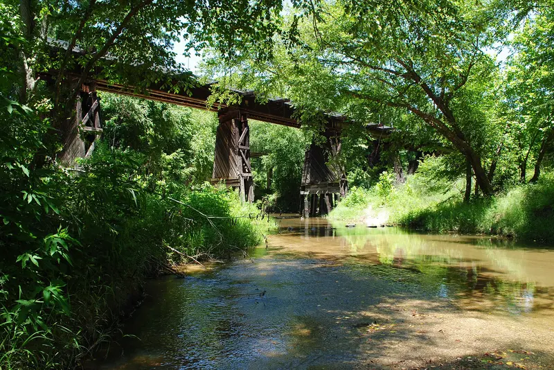 A Thousand Shades of Green, near New Caney