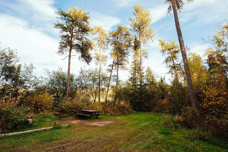 Lake Jeanette Campground, Minnesota