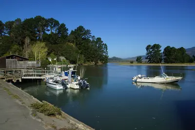 Bolinas Marina at high tide