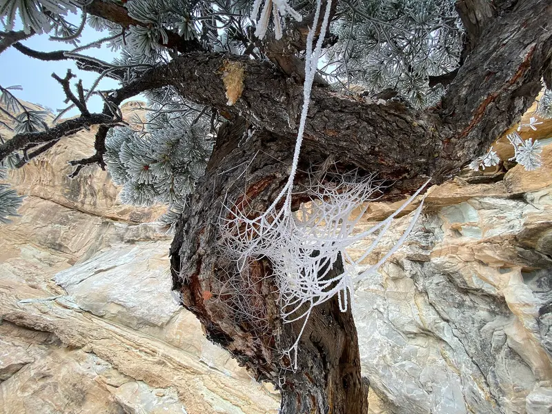 Photo: BLMUtah / Public domain, via Wikimedia Commons