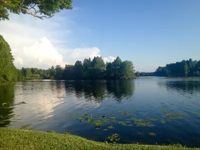 Hillsborough River at Lettuce Lake Park