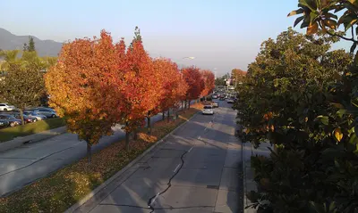 Autumn in Monrovia CA, near California City