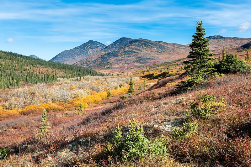 Photo: BLM Alaska / CC BY 2.0, via Wikimedia Commons