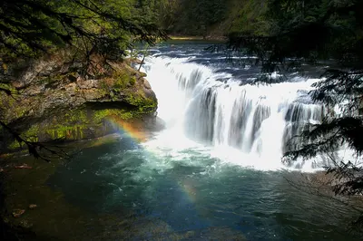 Photo: U.S. Forest Service- Pacific Northwest Region / Public domain, via Wikimedia Commons