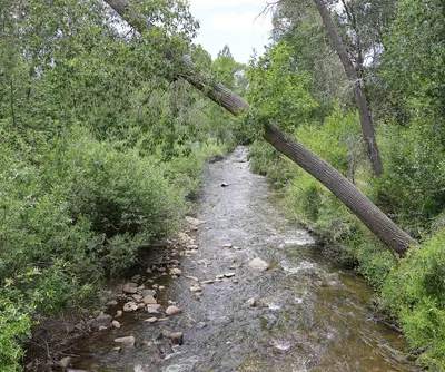 Mancos River in Mancos, Colorado