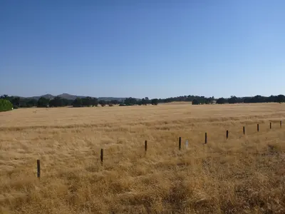 August, near Yokuts Valley