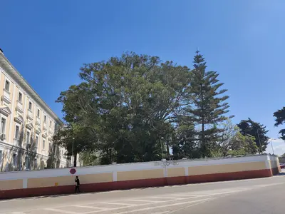 Jardines de Colón - San Fernando-IMG