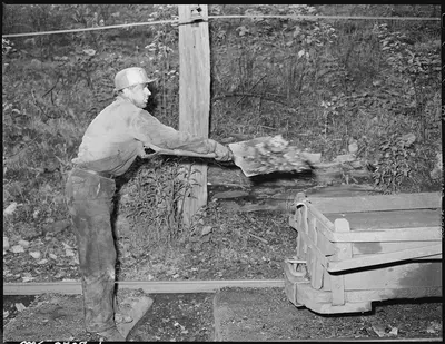 Eli Sanders, Tipple Worker, Loads Coal on Car Which Has Fallen off Cars Enroute to Tipple