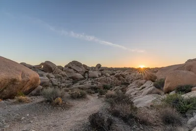 Sunset At Joshua Tree