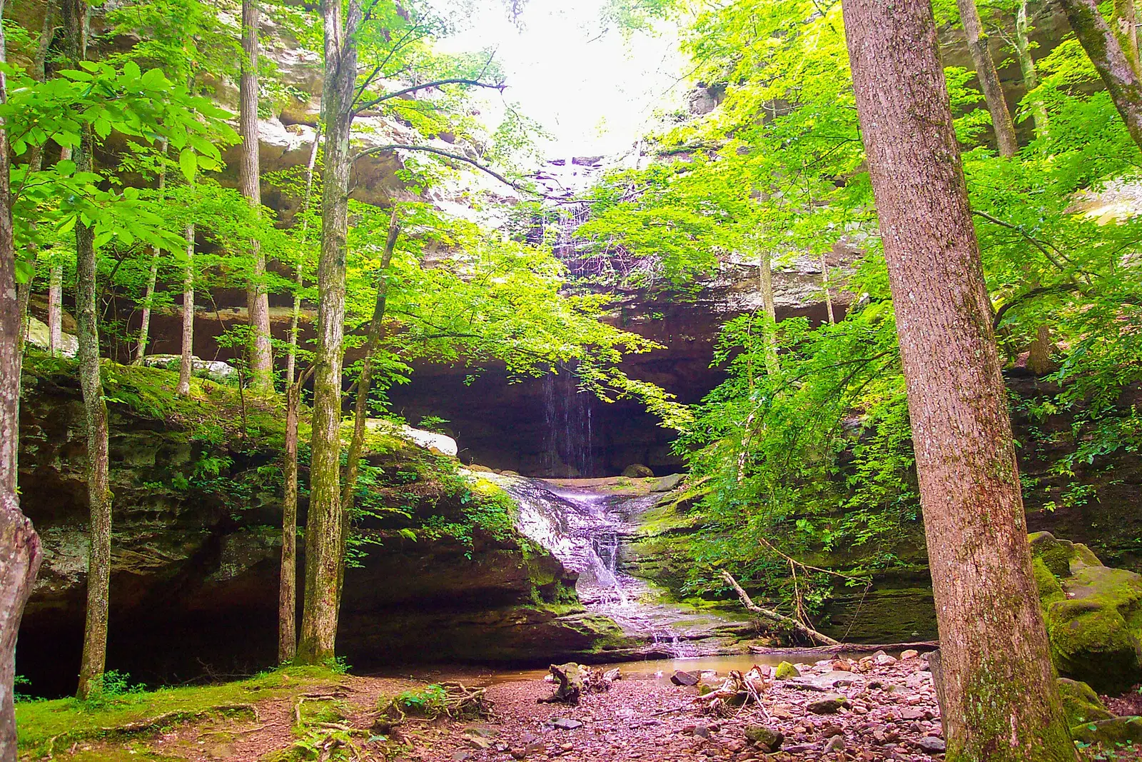 Ferne Clyffe State Park, near Goreville