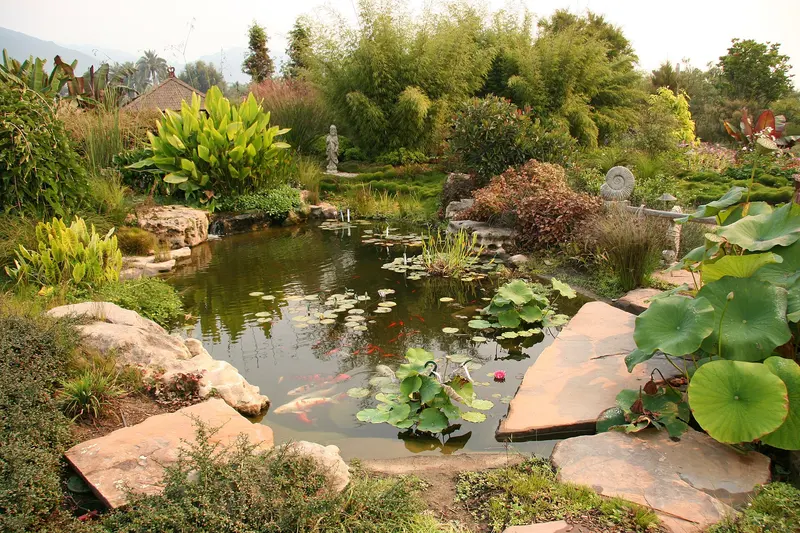 Flickr - brewbooks - Lotus, Seaside Gardens, near Toro Canyon