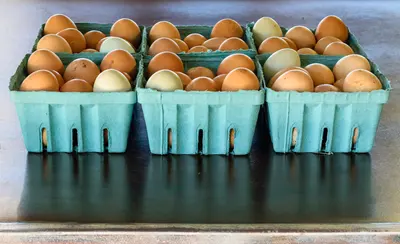 Farmer S Market Eggs