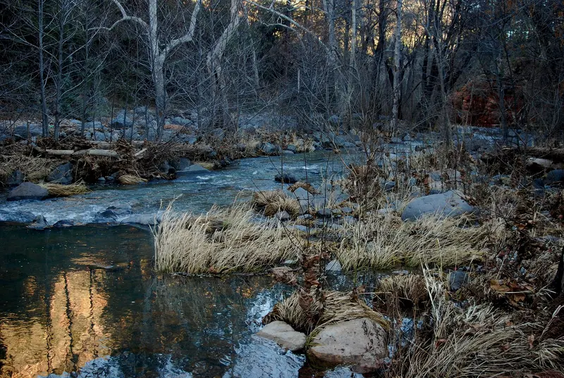 Photo: Chris English / CC BY-SA 3.0, via Wikimedia Commons Winter Afternoon, Oak Creek Arizona, Manzanita Campground