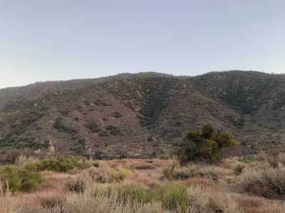 Frazier Mountain, near Frazier Park