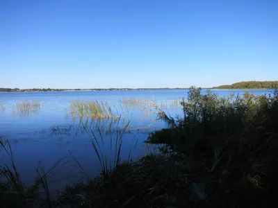Lake Tarpon - John Chestnut Park, near East Lake