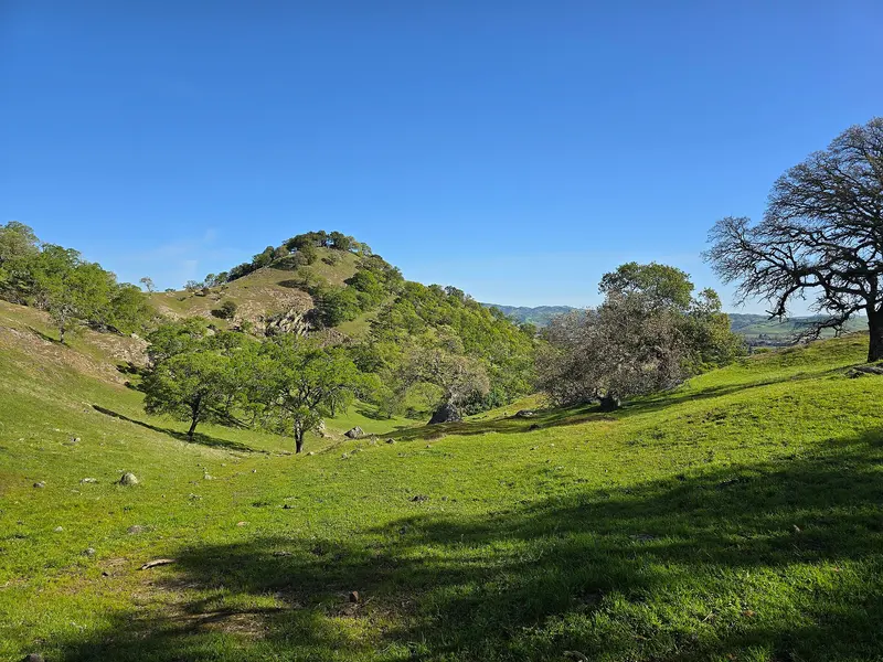PatwinoParkOverlook, near Green Valley