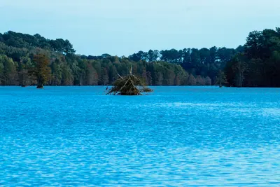 Stumpy Lake