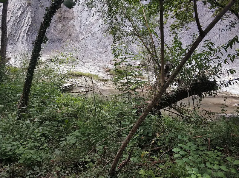 Río Gas, about 1.3 km from Camping Aín Jaca