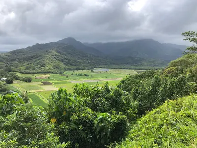 13 27 12 View south-southwest from the Hanalei Valley Lookout in Princeville, Kauai, Hawaii