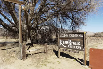 Kern River Preserve entrance, near Weldon