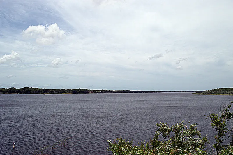 Lake Tarpon View