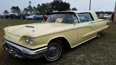 1960 Ford Thunderbird - 32161729214, near Zephyrhills South