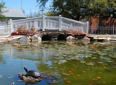 LeagueCityTX LeaguePark Bridge&LilyPond