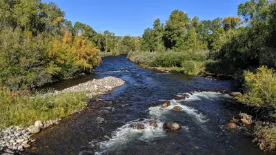 Los Pinos River looking north, near Bayfield
