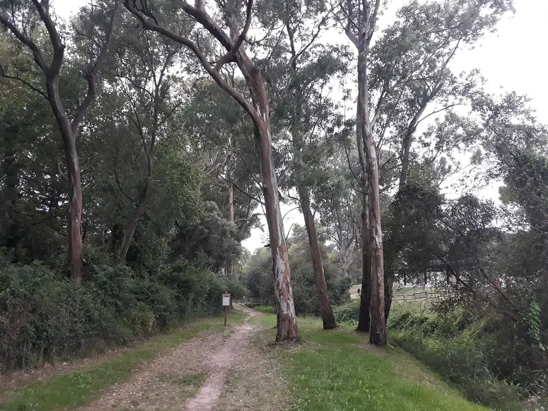 Detalles de Gorliz, about 0.3 km from Camping Arrien