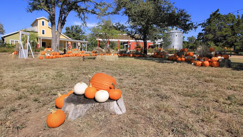 Fall Decorations McKinney Roughs Nature Park Texas, near Wyldwood