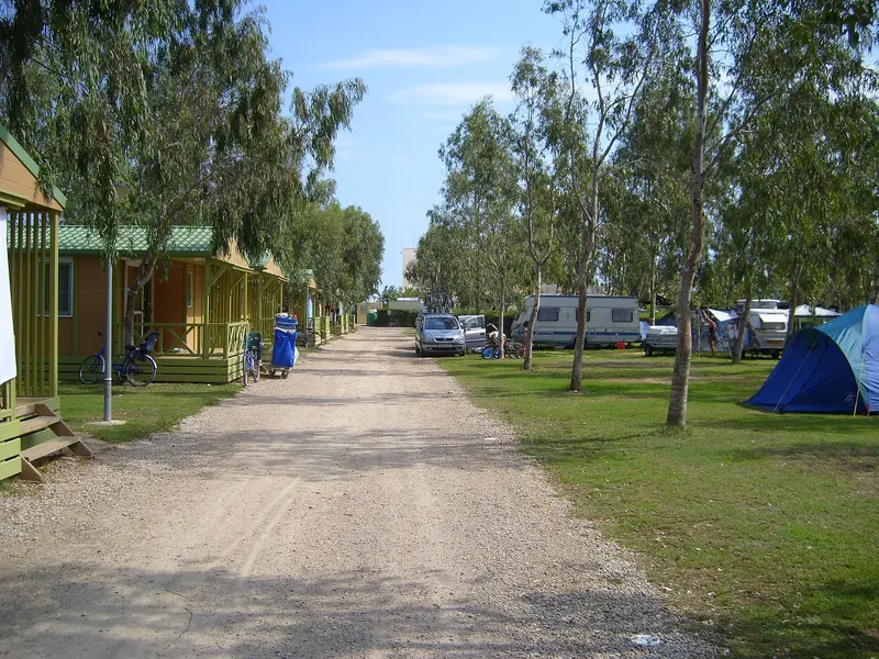 Campingplatz Eucaliptus in E 43870 Amposta
