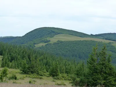 Photo: Florian Grossir / CC BY-SA 4.0, via Wikimedia Commons