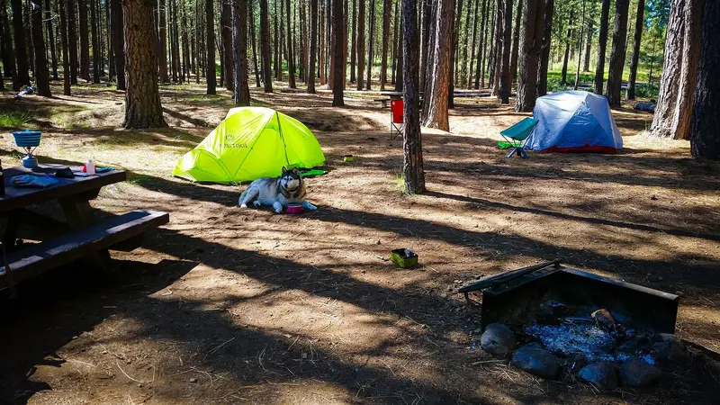 Photo: U.S. Forest Service- Pacific Northwest Region / Public domain, via Wikimedia Commons COLD SPRINGS CAMPGROUND-DESCHUTES