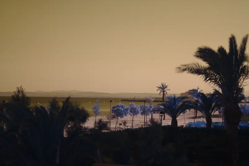 Infrared Beach and Palm Trees, about 0.7 km from Camping Rodas