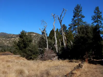 California sr79, near Descanso