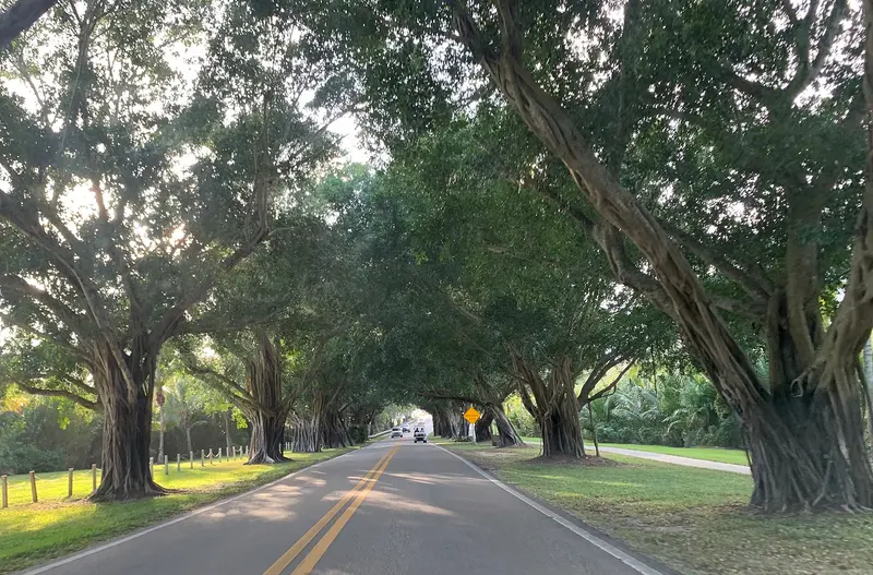 Hobe Sound Jupiter Island