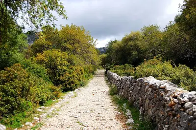 Calzada Ubrique - Benaocaz