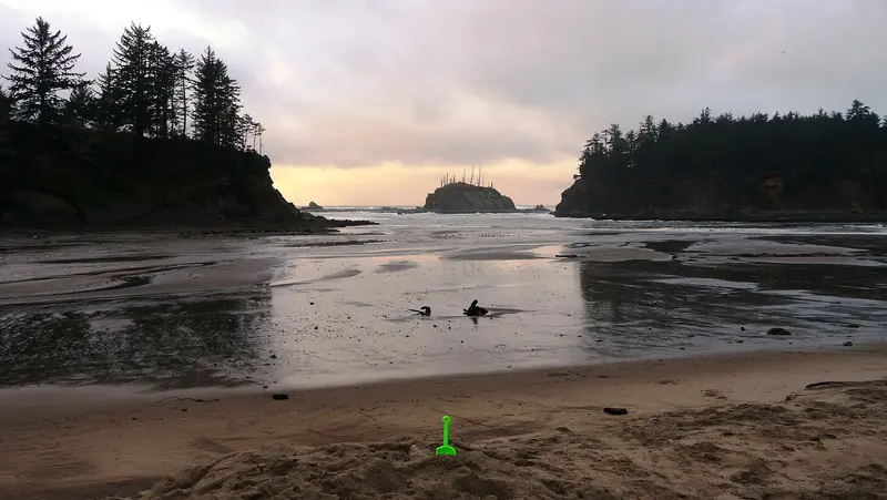 Green shovel in the sand at Sunset Bay State Park, about 0.1 km from Sunset Bay Campground