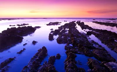 Fitzgerald Low Tide, near Moss Beach