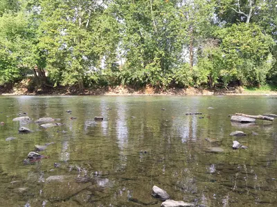 Closeup of Little Miami River at Nisbet Park, Loveland, Ohio