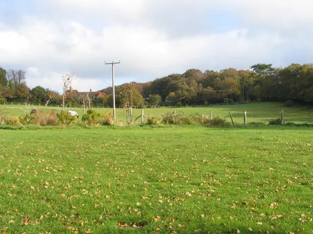 Camping field at Kloofs Caravan Park