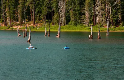 Photo: U.S. Forest Service- Pacific Northwest Region / Public domain, via Wikimedia Commons