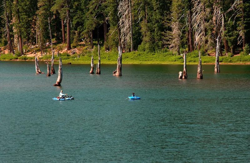 Photo: U.S. Forest Service- Pacific Northwest Region / Public domain, via Wikimedia Commons