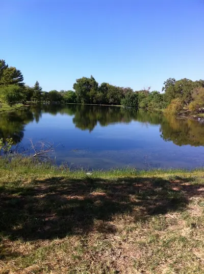 Pond at cienegas, near Cienegas Terrace