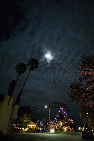 Christmas Lights In East Oakland