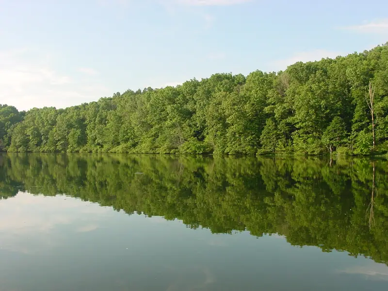 Lake Lindsey in David Crockett State Park (June 2005)