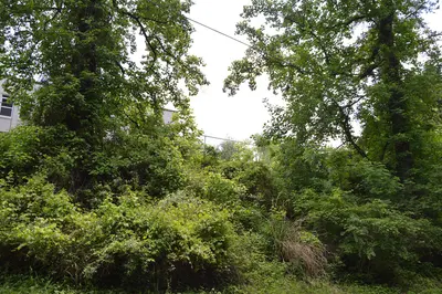 Old Sutton High School site